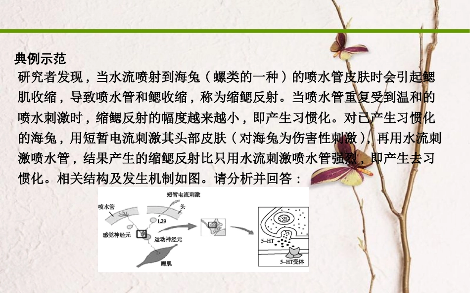 高考生物二轮复习 审题培优（四）情景信息类课件_第3页