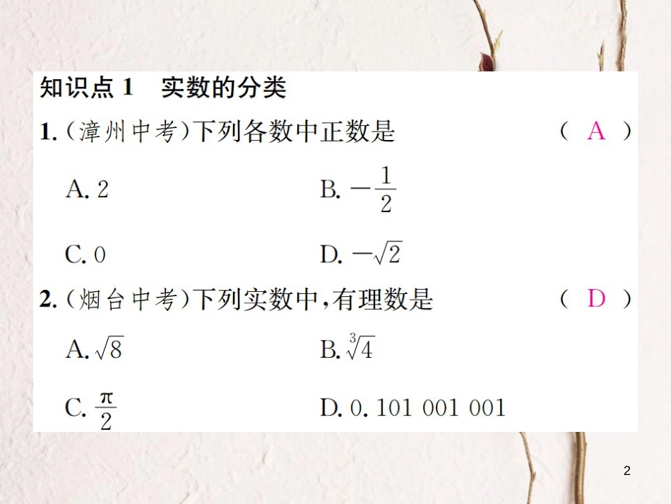 八年级数学上册 3.3 实数 第1课时 实数的有关概念习题课件 （新版）湘教版_第2页