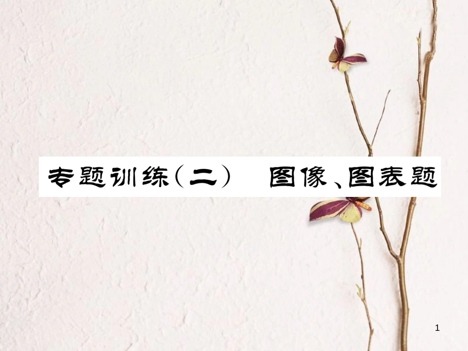 九年级化学下册 专题训练2 图像、图表题作业课件 （新版）新人教版_第1页