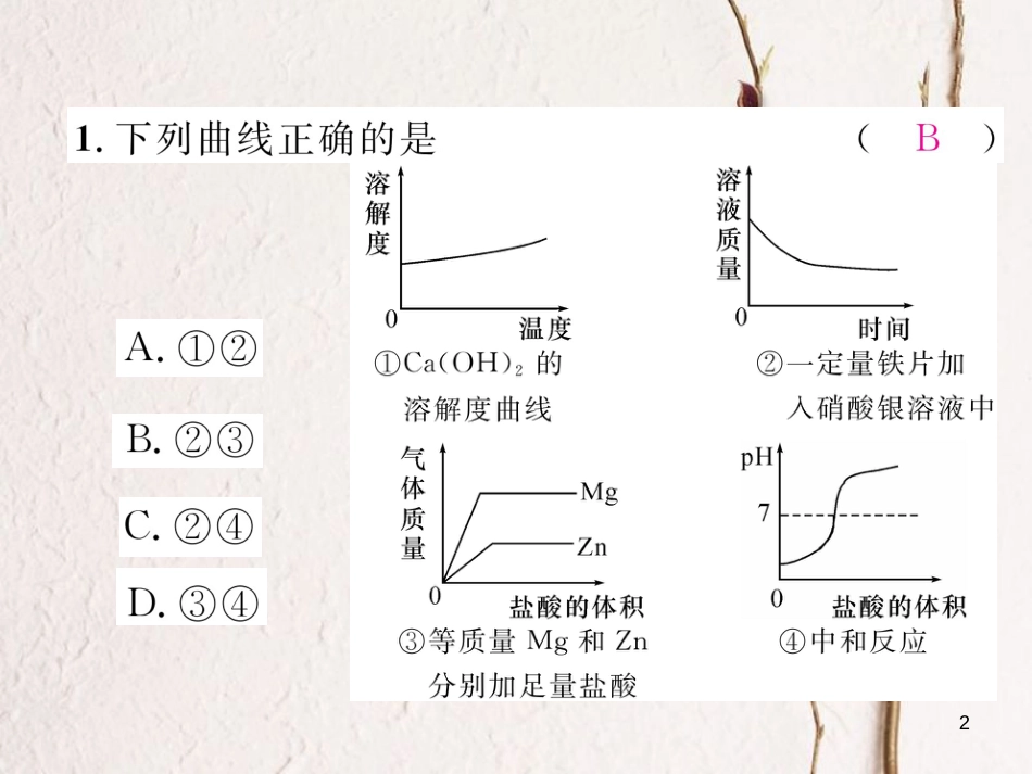 九年级化学下册 专题训练2 图像、图表题作业课件 （新版）新人教版_第2页