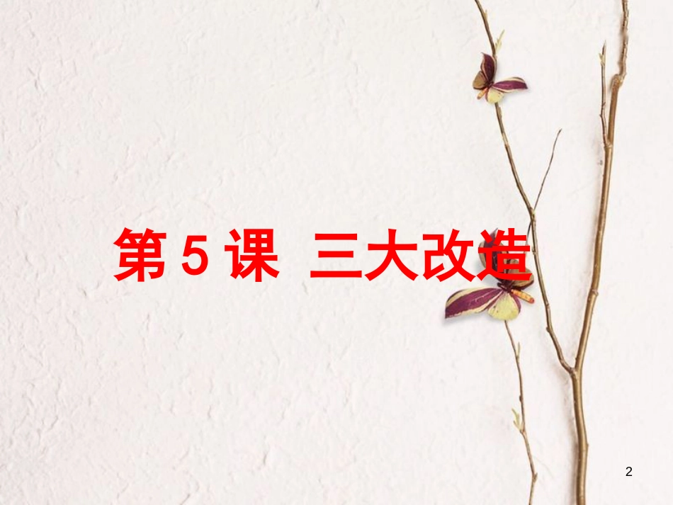 八年级历史下册 第2单元 社会主义制度的建立与社会主义建设的探索 第5课 三大改造课件1 新人教版_第2页