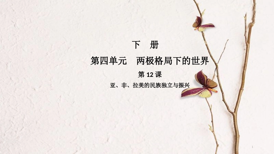 九年级历史下册 第四单元 两极格局下的世界 第12课 亚、非、拉美的民族独立与振兴导学课件 中华书局版_第1页