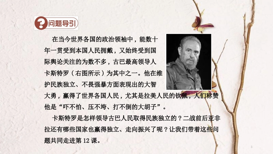 九年级历史下册 第四单元 两极格局下的世界 第12课 亚、非、拉美的民族独立与振兴导学课件 中华书局版_第3页