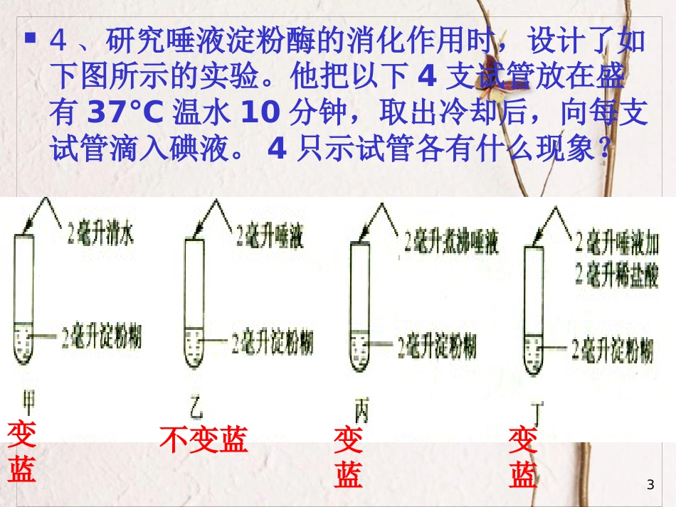 湖南省张家界市桑植县七年级生物下册 第四单元 第二章 第三节 关注合理营养与食品安全课件 （新版）新人教版_第3页
