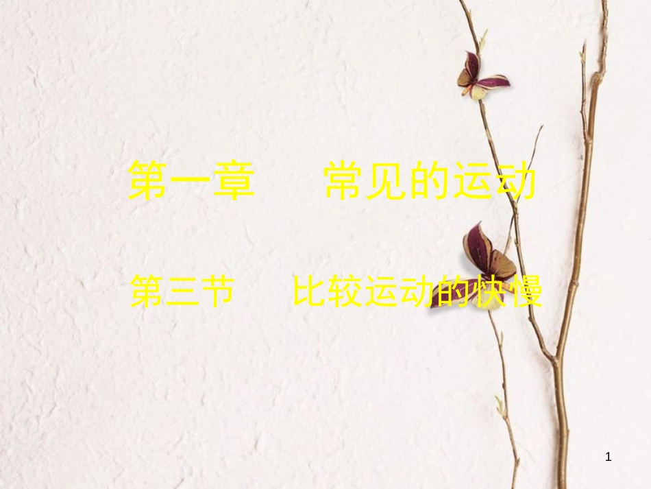 八年级物理上册 1.3《比较运动的快慢》课件1 北京课改版_第1页