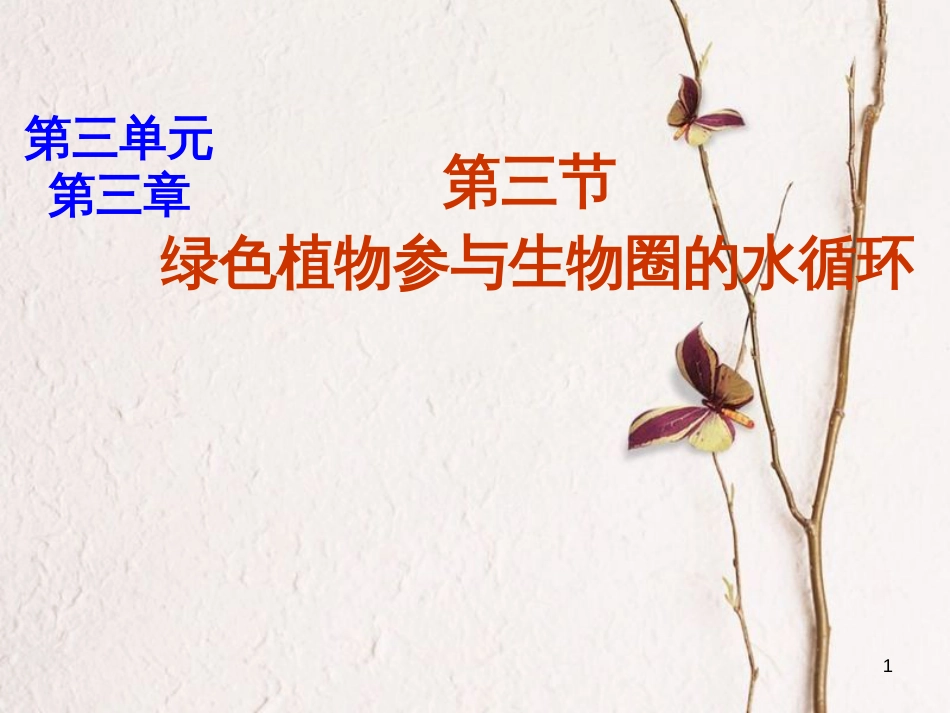 湖南省桑植县七年级生物上册 第三单元 第三章 第三节 绿色植物参与生物圈的水循环课件 （新版）新人教版_第1页