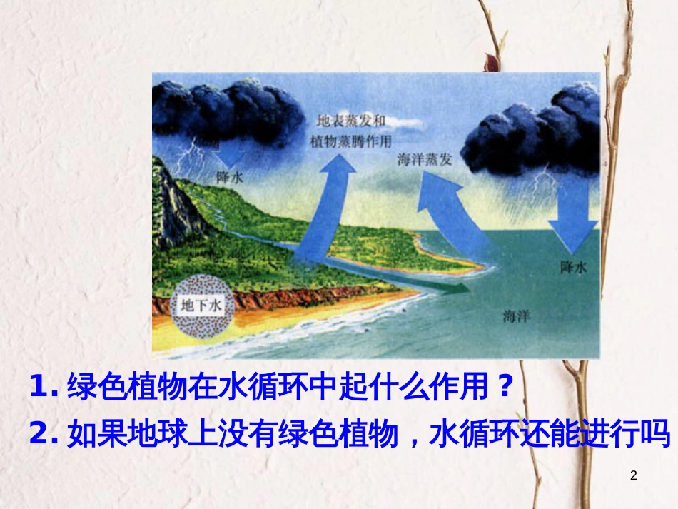 湖南省桑植县七年级生物上册 第三单元 第三章 第三节 绿色植物参与生物圈的水循环课件 （新版）新人教版_第2页