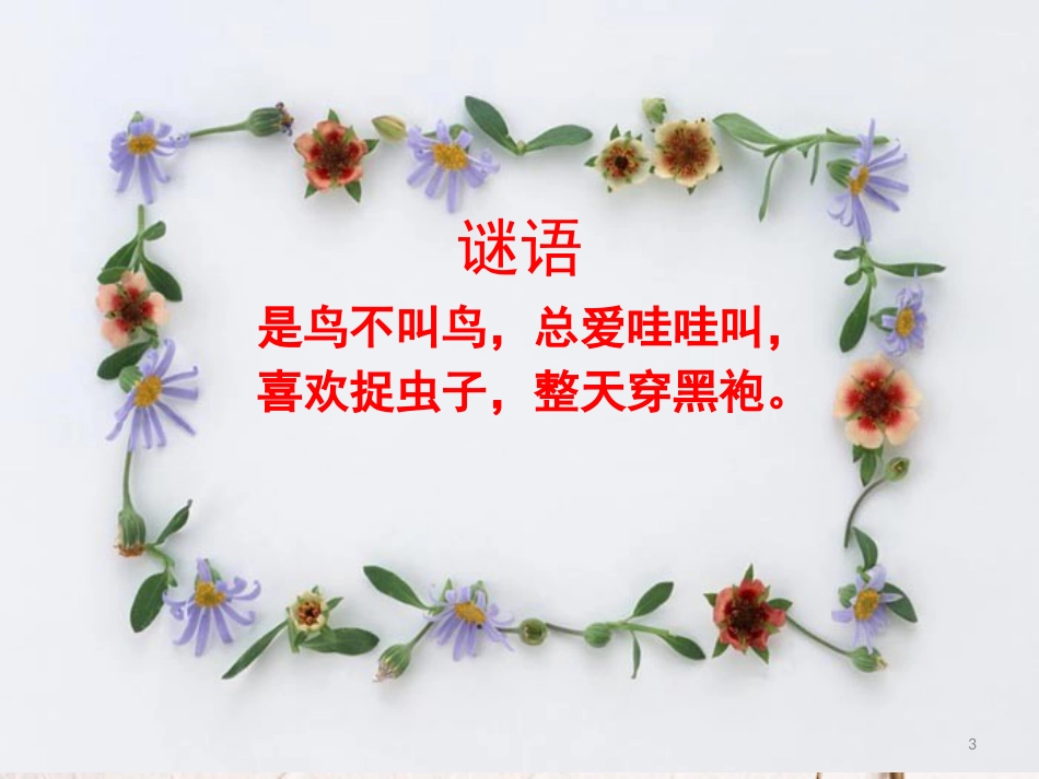 二年级音乐上册 第二单元 小乌鸦爱妈妈课件2 苏少版_第3页