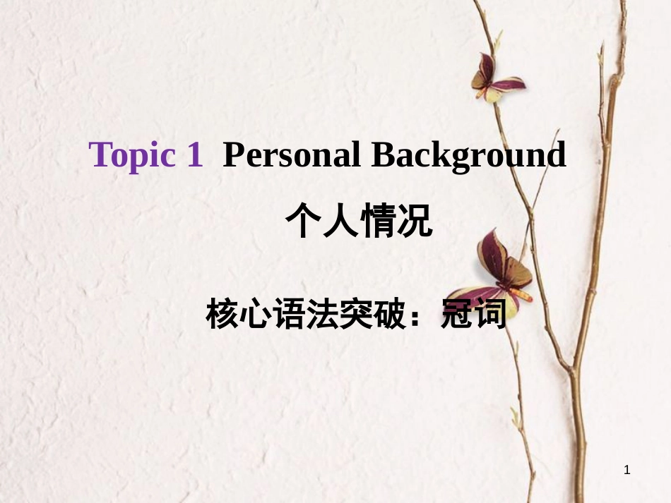 河北省中考英语总复习 Topic 1 Personal Background 2 冠词课件_第1页