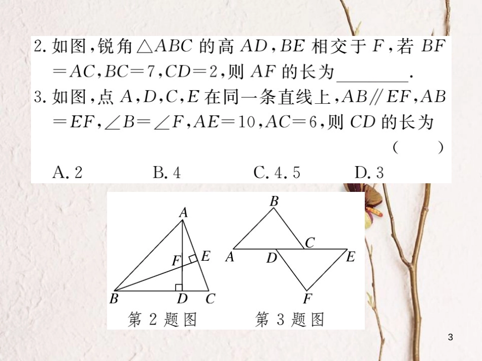 （贵州专用）八年级数学上册 12 全等三角形复习课（二）课件 （新版）新人教版_第3页