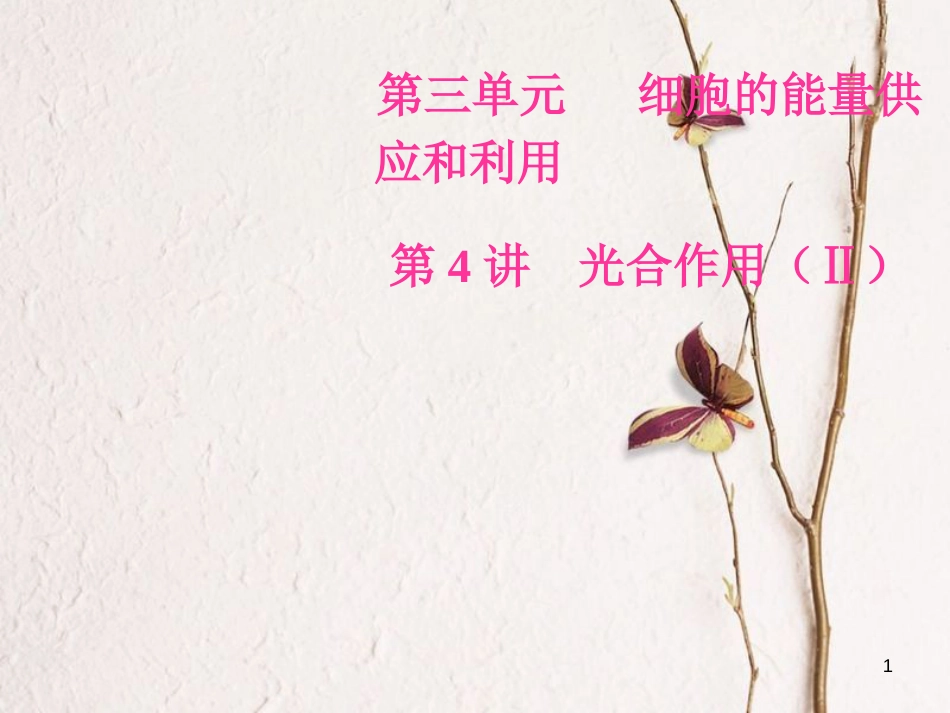2019版高考生物总复习 第三单元 细胞的能量供应和利用 第4讲 光合作用（Ⅱ）课件_第1页