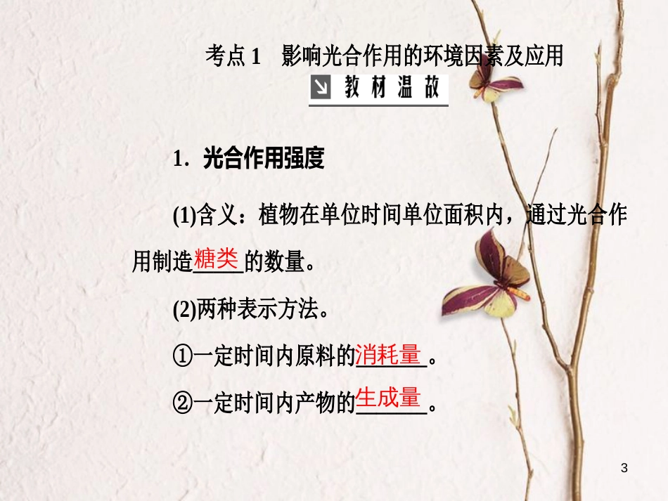 2019版高考生物总复习 第三单元 细胞的能量供应和利用 第4讲 光合作用（Ⅱ）课件_第3页