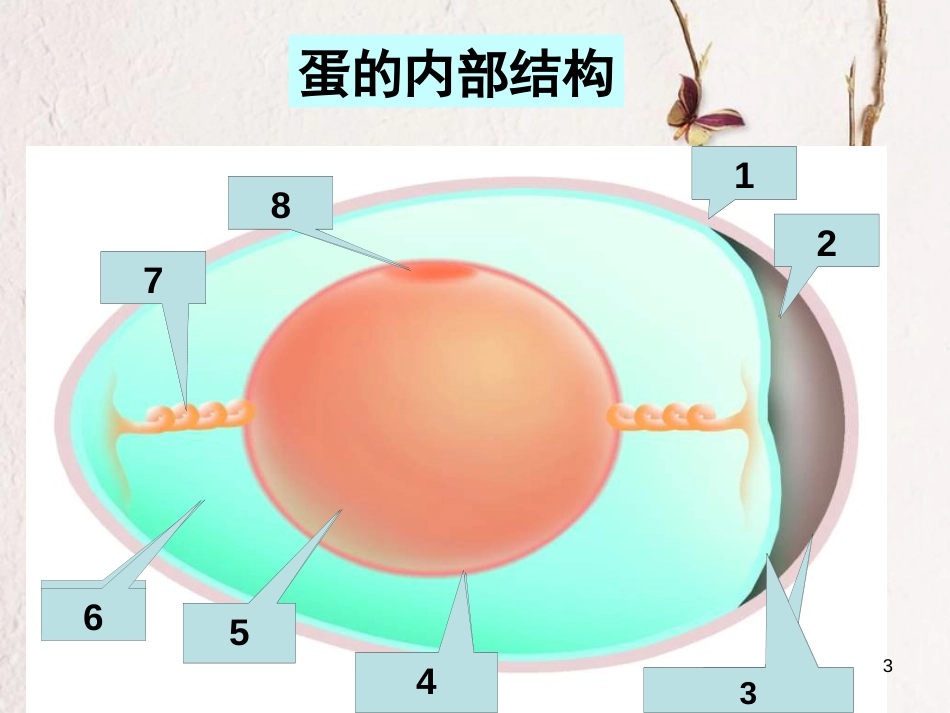 学年八年级生物上册 19.1 动物的生殖课件2 苏科版_第3页