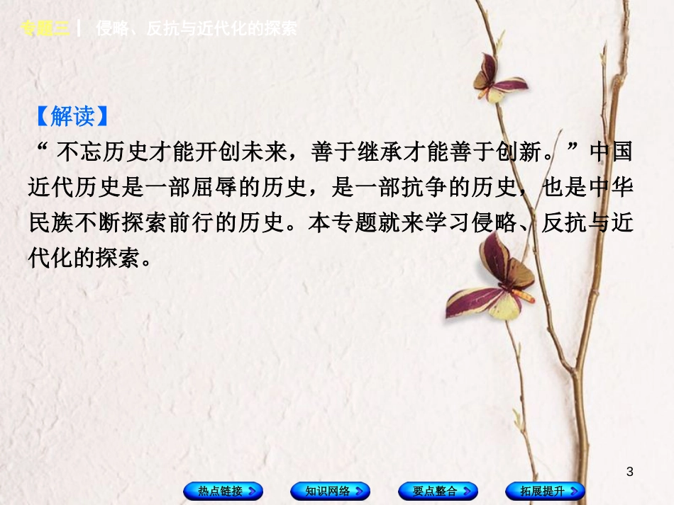 湖南省2018年中考历史复习 专题突破 专题三 侵略、反抗与近代化的探索课件_第3页