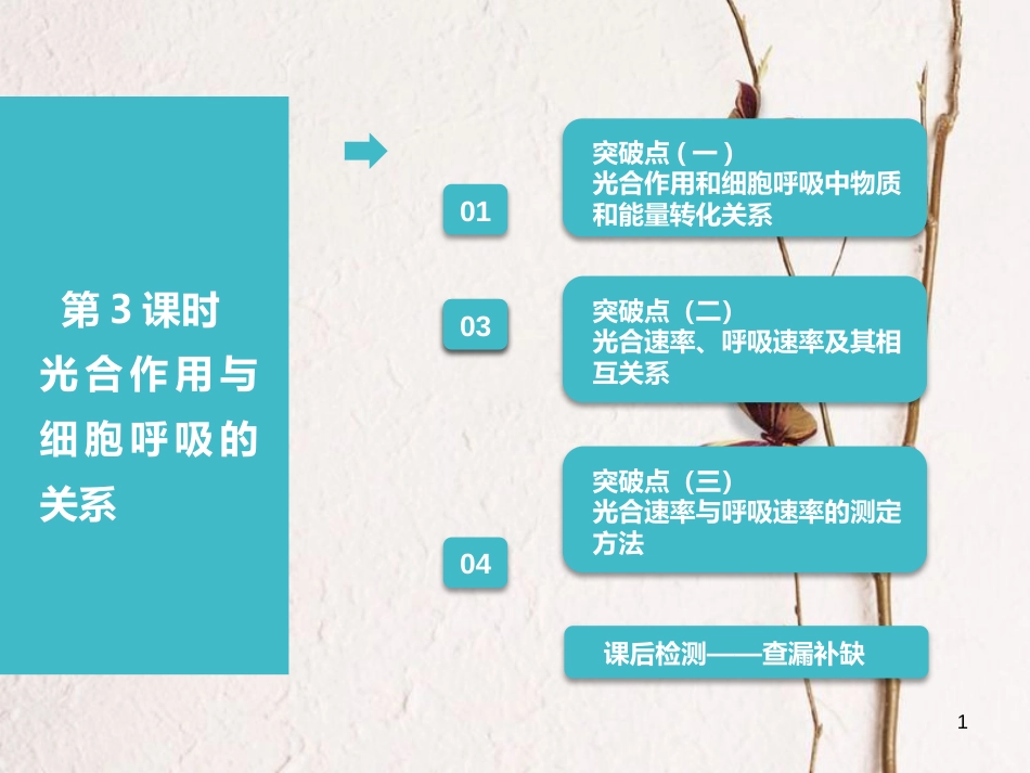 （全国通用版）2019版高考生物一轮复习 第1部分 分子与细胞 第三单元 细胞的能量供应和利用 第3讲 第3课时 光合作用与细胞呼吸的关系课件_第1页