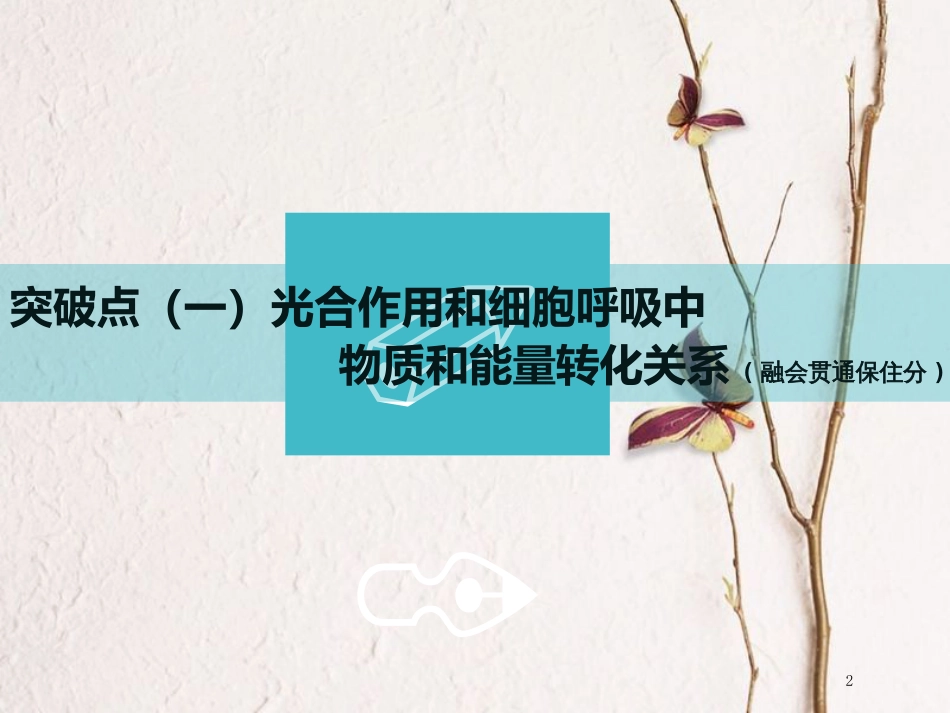 （全国通用版）2019版高考生物一轮复习 第1部分 分子与细胞 第三单元 细胞的能量供应和利用 第3讲 第3课时 光合作用与细胞呼吸的关系课件_第2页