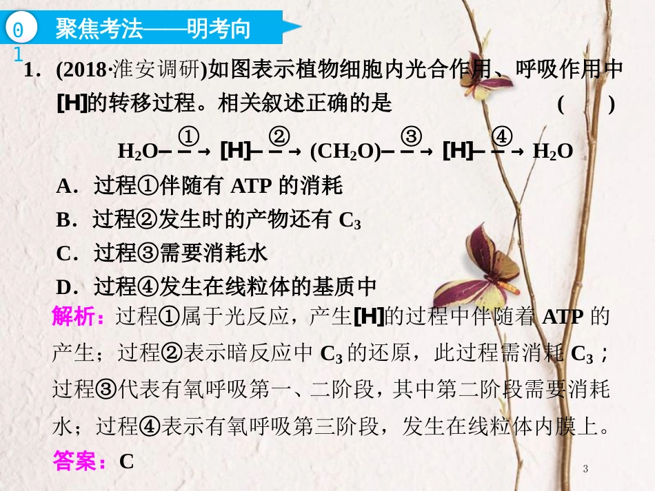 （全国通用版）2019版高考生物一轮复习 第1部分 分子与细胞 第三单元 细胞的能量供应和利用 第3讲 第3课时 光合作用与细胞呼吸的关系课件_第3页