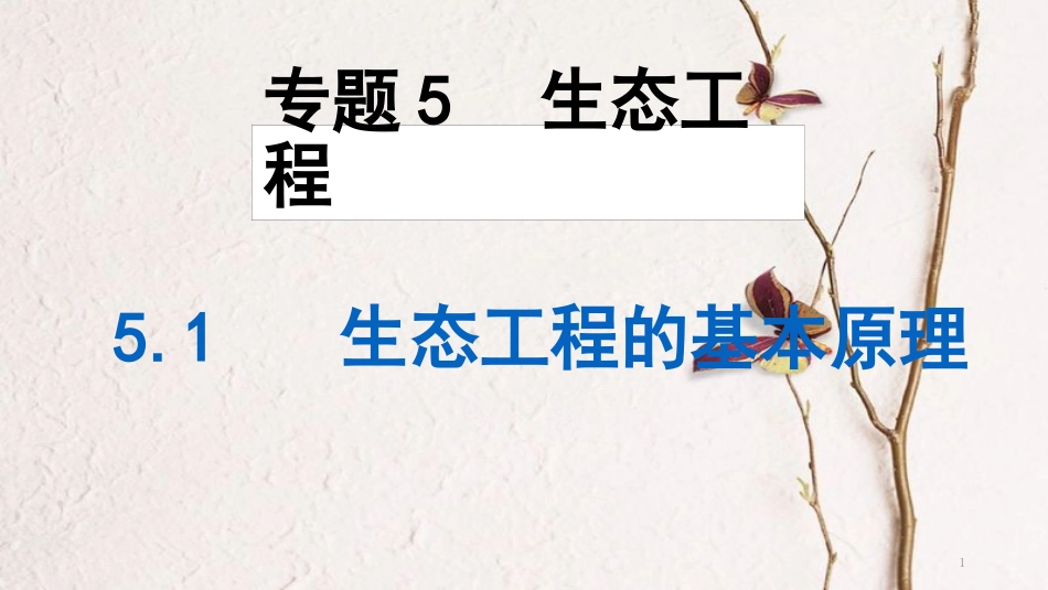 吉林省伊通满族自治县高中生物 第五章 生态工程 5.1 生态工程的基本原理课件 新人教版选修3_第1页