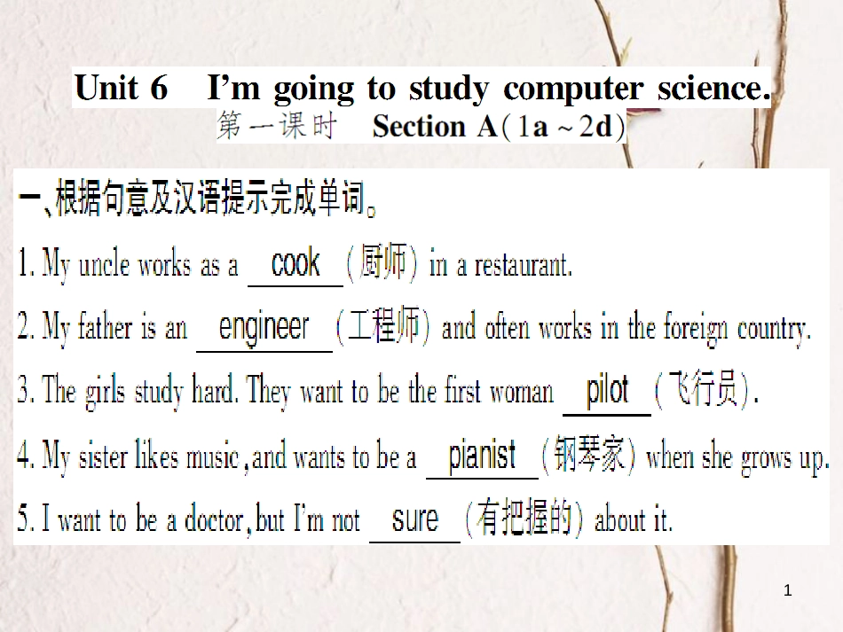 （通用版）八年级英语上册 Unit 6 I’m going to study computer science（第1课时）习题课件 （新版）人教新目标版_第1页