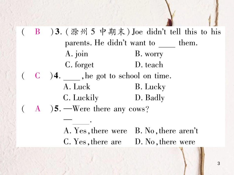 （安徽专版）七年级英语下册 Unit 11 How was your school trip（第2课时）语法专练（Grammar Focus-3b）习题课件 （新版）人教新目标版_第3页