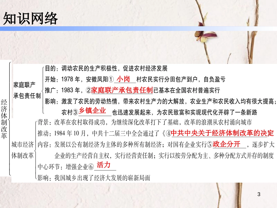 八年级历史下册 第三单元 8 经济体制改革课件 新人教版_第3页
