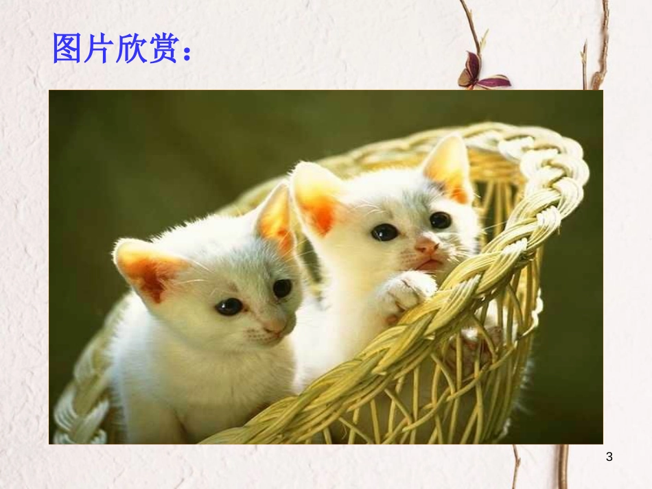 七年级语文上册 第五单元 16 猫课件 新人教版[共26页]_第3页