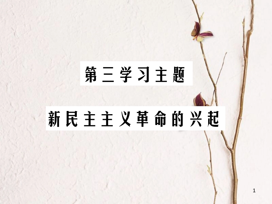 中考历史总复习 第二部分 中国近代史 第三学习主题 新民主主义革命的兴起课件_第1页