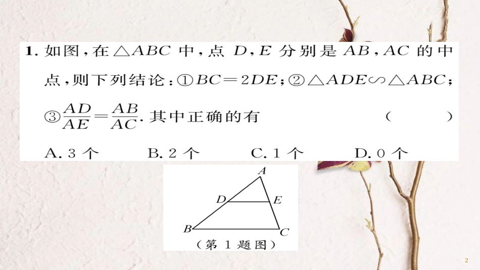 九年级数学下册 期末专题复习 专题6 相似与解直角三角形作业课件 （新版）华东师大版_第2页