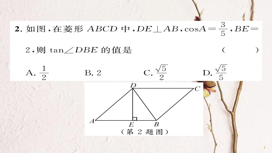 九年级数学下册 期末专题复习 专题6 相似与解直角三角形作业课件 （新版）华东师大版_第3页
