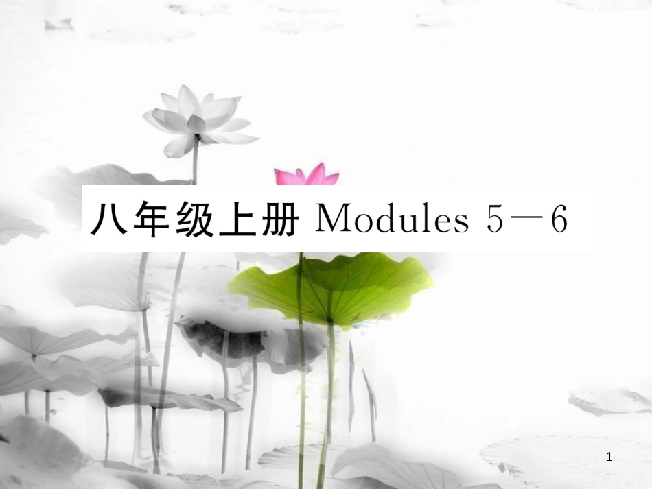 届中考英语总复习 八上 Modules 5-6课件 外研版_第1页