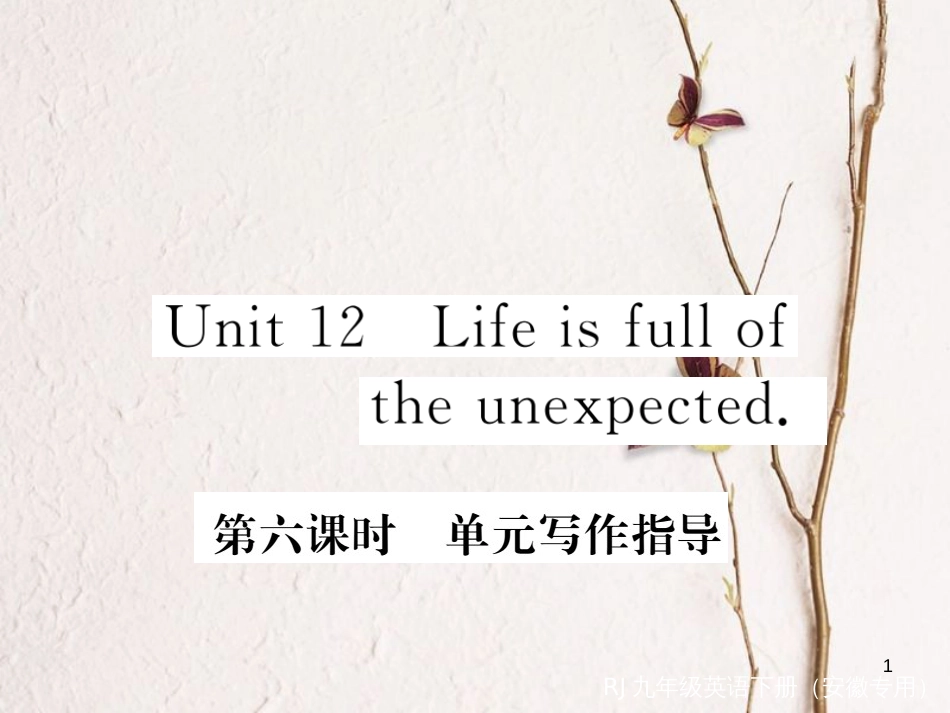 （安徽专版）九年级英语全册 Unit 12 Life is full of the unexpected（第6课时）写作指导习题课件 （新版）人教新目标版_第1页
