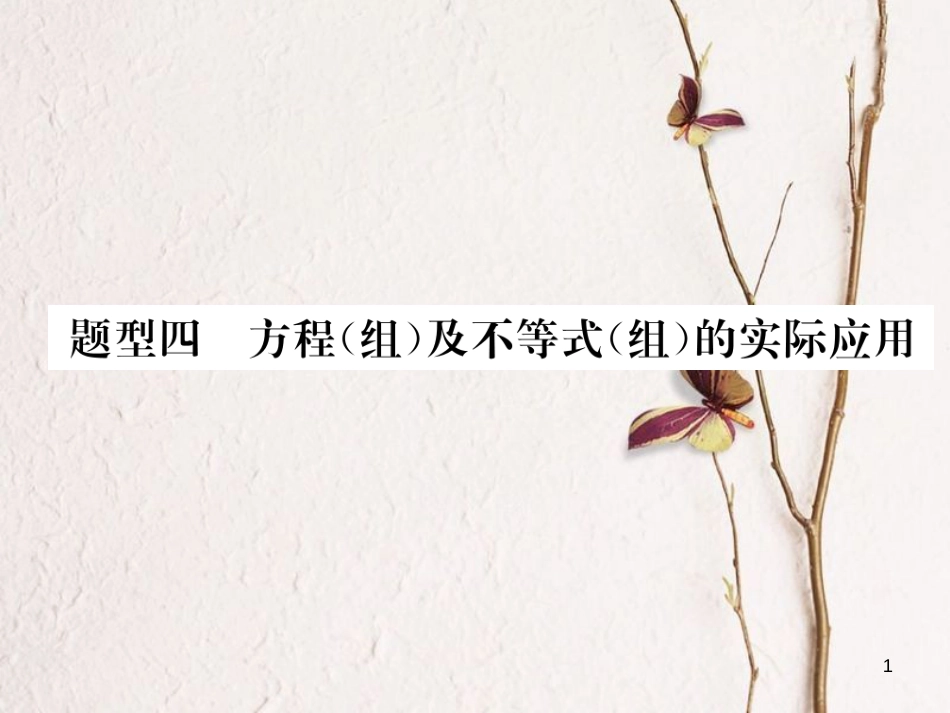 （青海专版）中考数学复习 第2编 专题突破篇 题型4 方程（组）及不等式（组）的实际应用（精练）课件_第1页