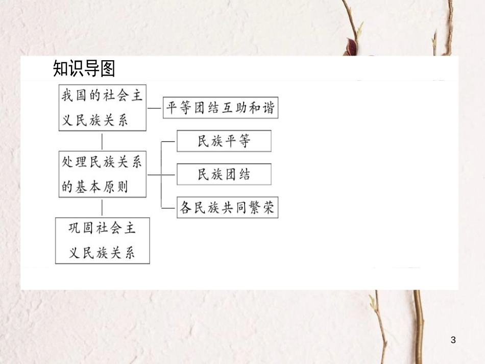 高中政治 3.7.1处理民族关系的原则：平等、团结、共同繁荣课件 新人教版必修2_第3页