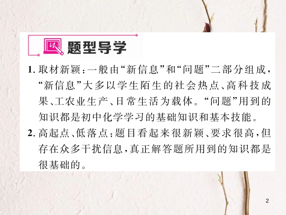 九年级化学下册 期末专题复习 专题复习1 信息给予题作业课件 （新版）新人教版_第2页