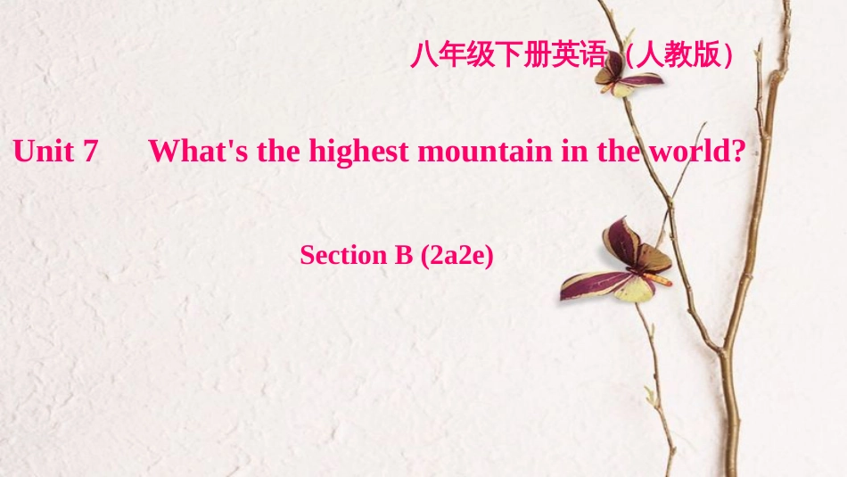 八年级英语下册 Unit 7 What's the highest mountain in the world Section B(2a-2e)习题课件 （新版）人教新目标版_第1页