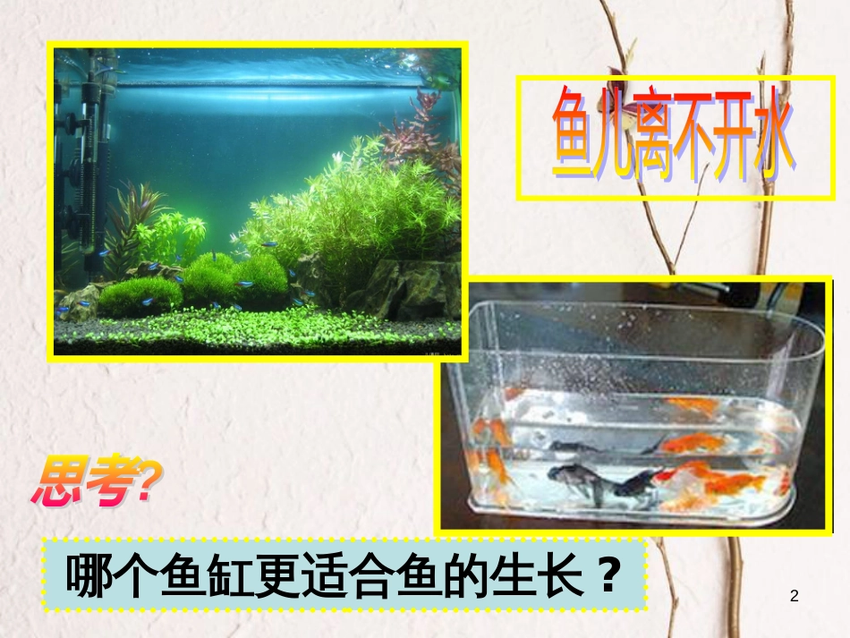 学年七年级生物上册 2.2.2 环境影响生物的生存课件1 （新版）苏科版_第2页