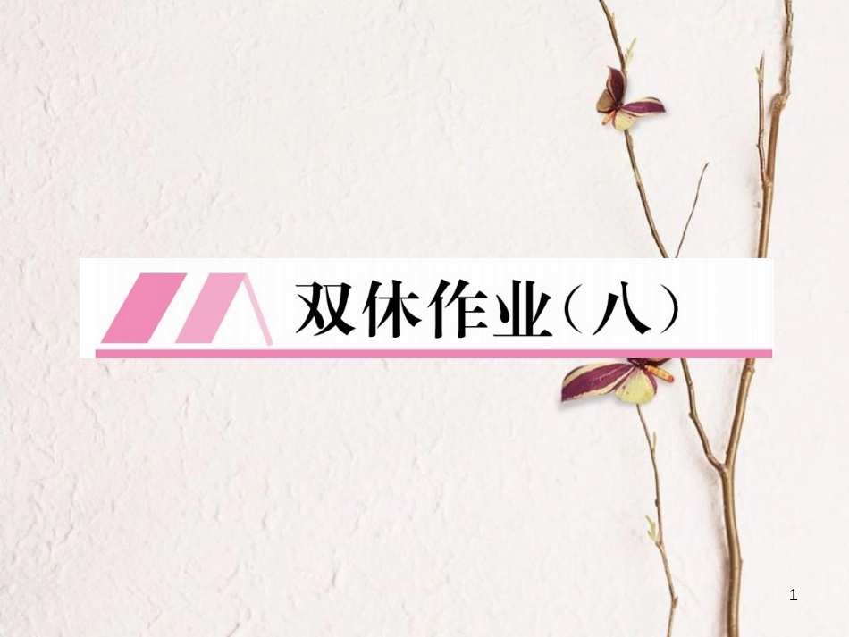 九年级数学下册 双休作业（八）作业课件 （新版）湘教版_第1页
