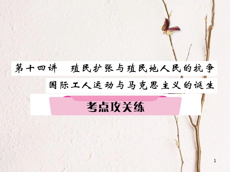 （河北专版）中考历史总复习 第14讲 殖民扩张与殖民地人民的抗争 国际工人运动与马克思主义的诞生考点攻关练课件_第1页