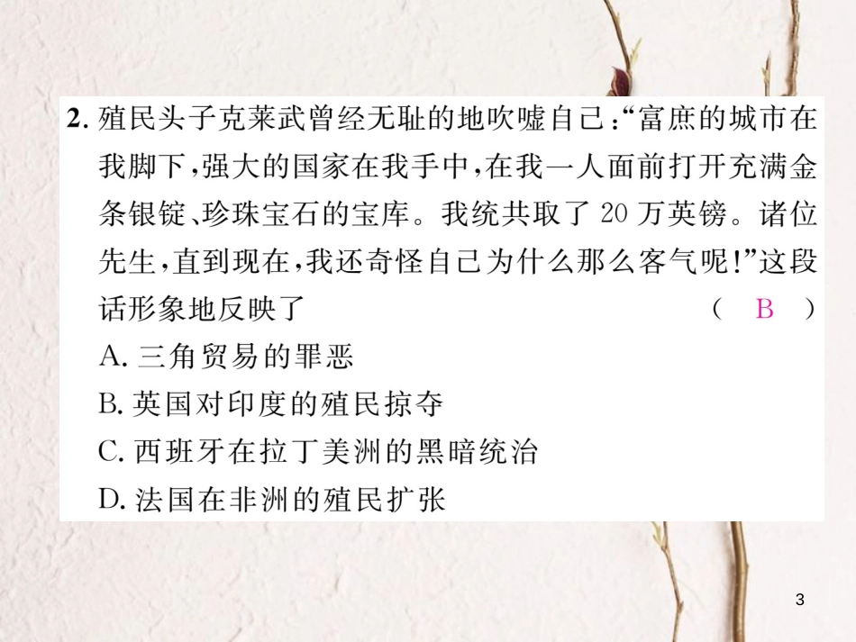 （河北专版）中考历史总复习 第14讲 殖民扩张与殖民地人民的抗争 国际工人运动与马克思主义的诞生考点攻关练课件_第3页