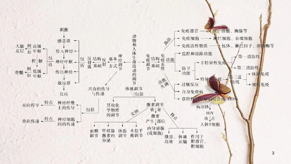 高中生物 第2章 动物和人体生命活动的调节章末归纳整合课件 新人教版必修3_第3页