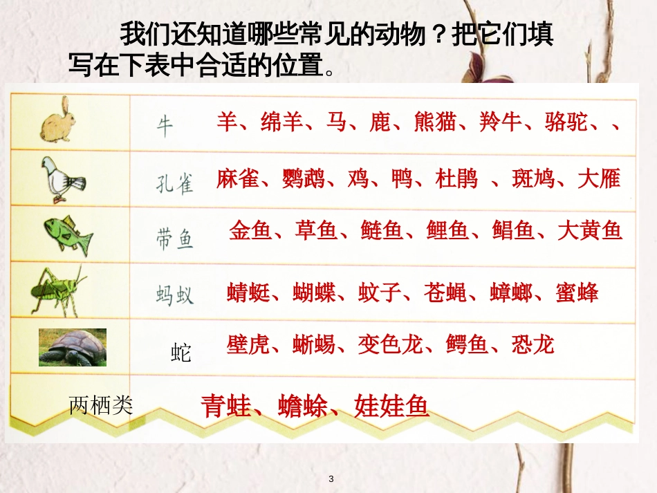 三年级科学上册 2.2 常见的动物课件1 湘教版_第3页