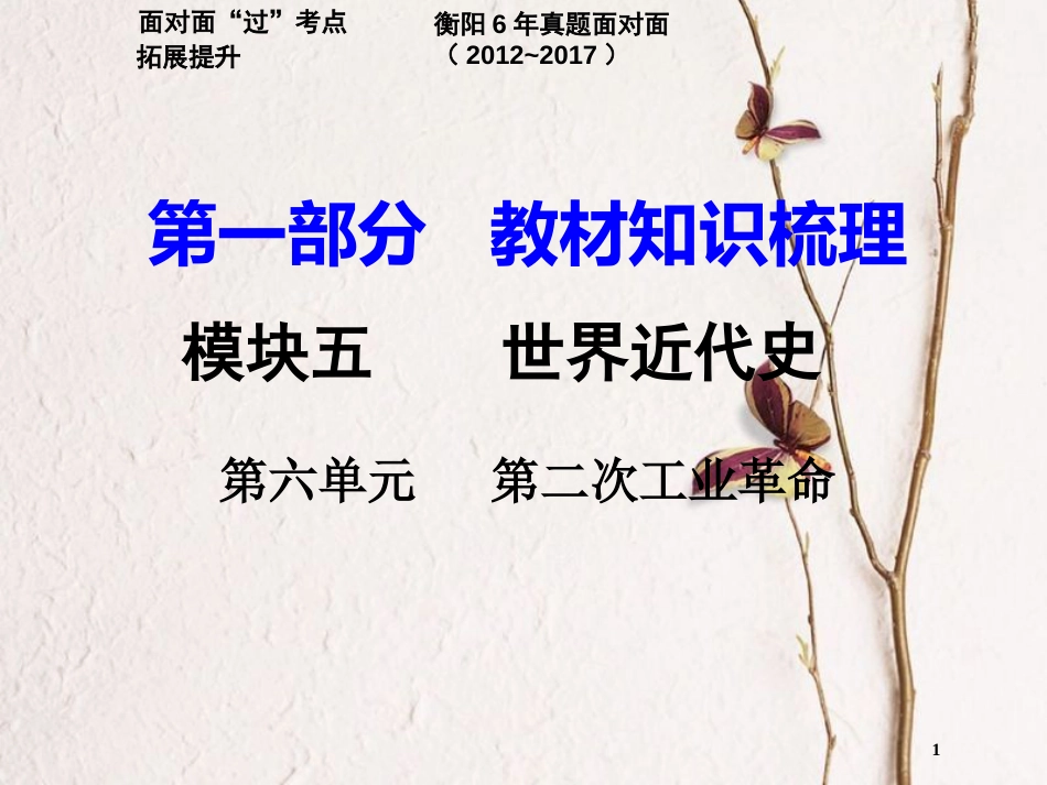 湖南省衡阳市中考历史一轮复习 第一部分 教材知识梳理 模块五 世界近代史 第六单元 第二次工业革命课件_第1页