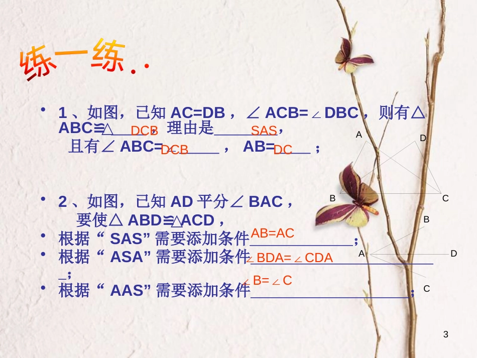 八年级数学上册 2.5 全等三角形 第6课时 全等三角形判定方法的综合应用课件 （新版）湘教版_第3页