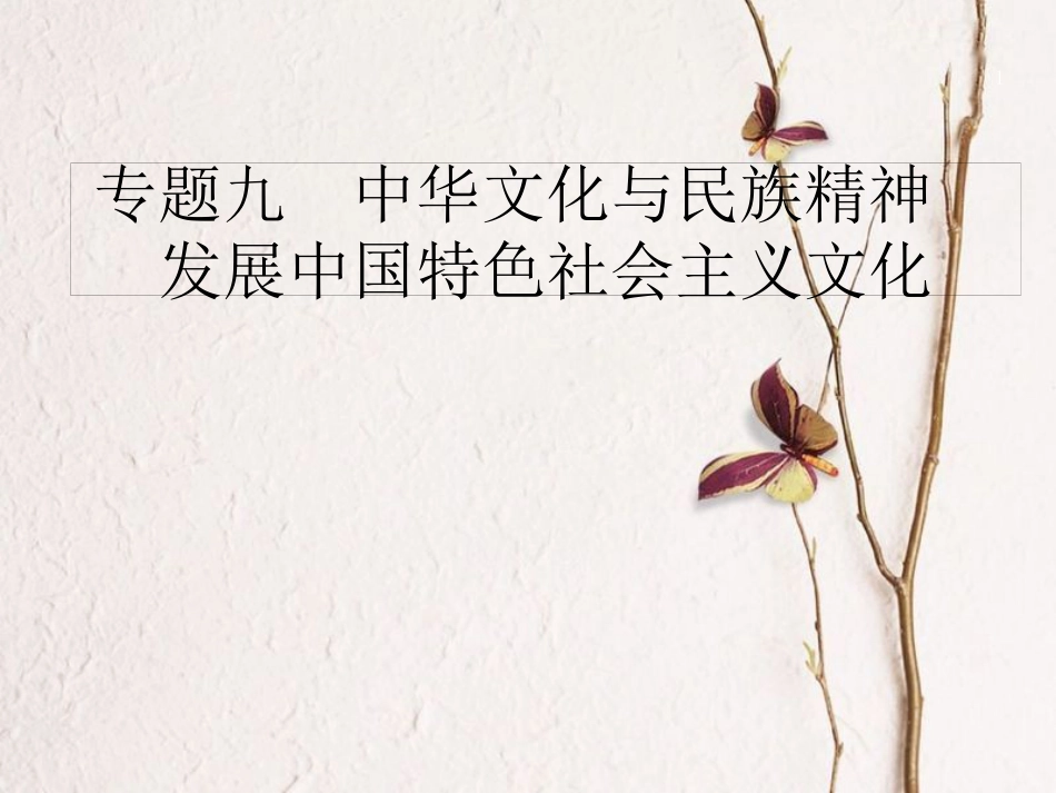 天津市高考政治二轮复习 专题九 中华文化与民族精神 发展中国特色社会主义文化课件_第1页