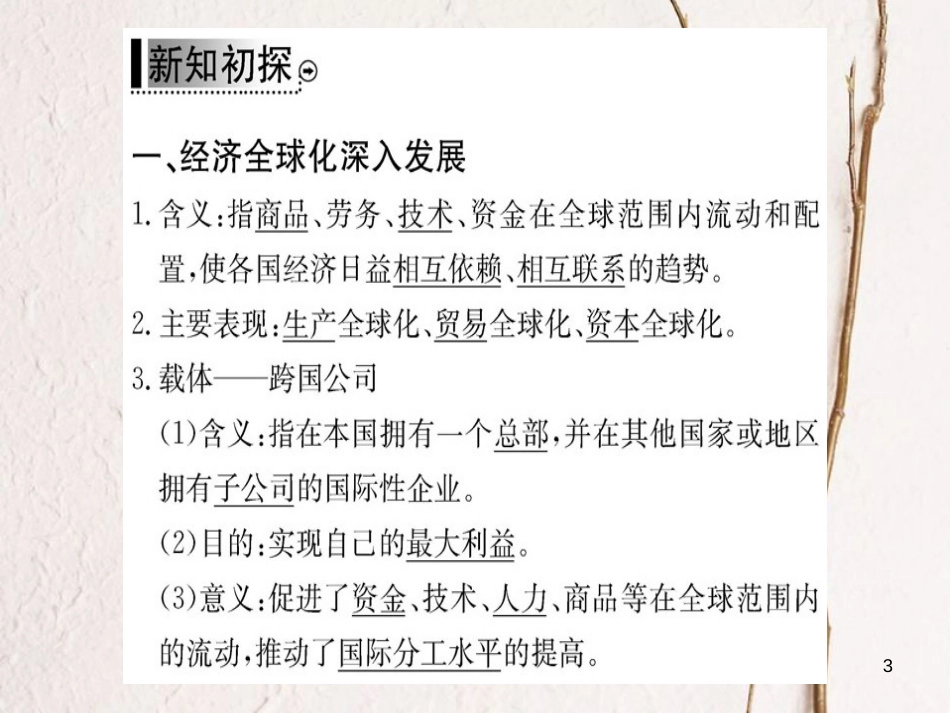 高中政治 第四单元 发展社会主义市场经济 第十一课 经济全球化与对外开放 第一框 面对经济全球化课件 新人教版必修1_第3页