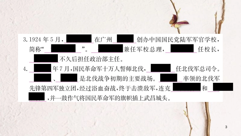 八年级历史上册 第五单元 从国共合作到国共对峙 15 北伐战争课件 新人教版_第3页