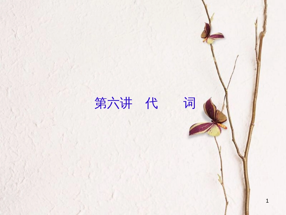 （新课标）高三英语一轮复习 语法部分 语法专项突破 第6讲 代词课件_第1页