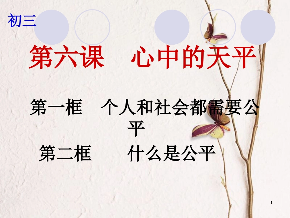 云南省个旧市九年级政治全册 第二单元 共同生活 第六课 心中的天平 第1-2框 个人和社会都需要公平 什么是公平课件 人民版_第1页