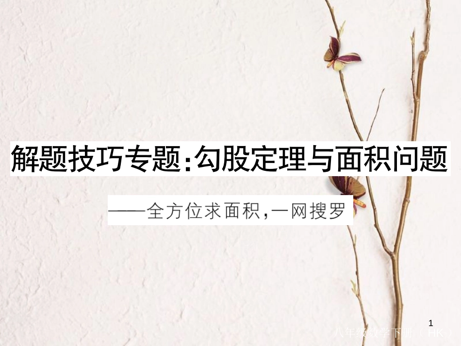 八年级数学下册 专题复习 解题技巧专题 勾股定理与面积问题练习课件 （新版）沪科版_第1页