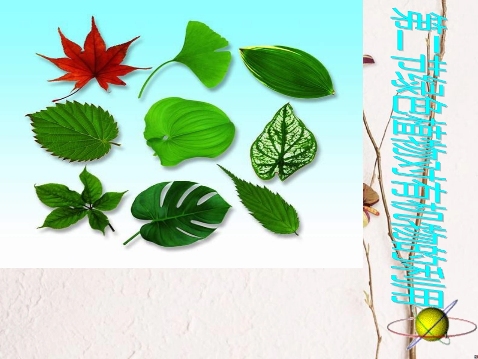 湖南省桑植县七年级生物上册 第三单元 第五章 第二节 绿色植物的呼吸作用课件 （新版）新人教版_第1页